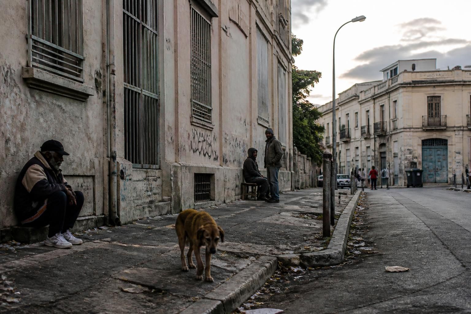 découvrez les quartiers de montpellier à éviter pour garantir un séjour sûr et tranquille. nos conseils vous aident à choisir les meilleurs endroits où séjourner dans cette ville dynamique.
